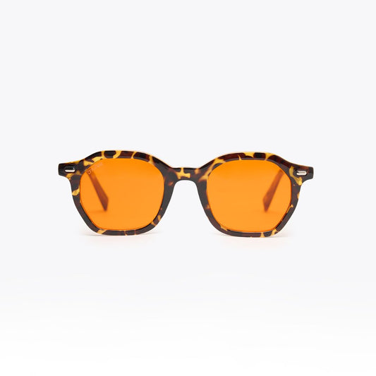 TOULON TORTOISE / ORANGE