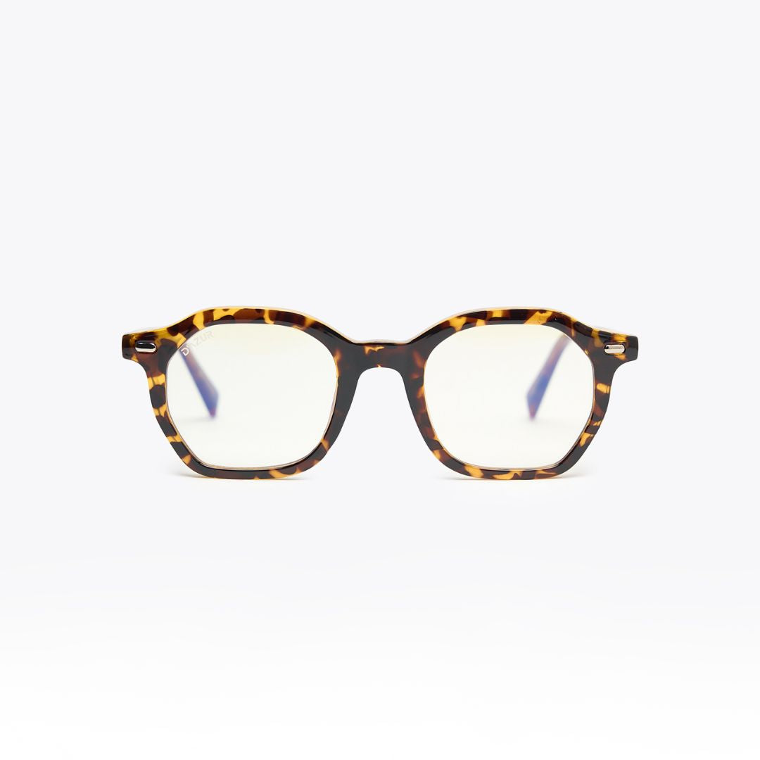 TOULON TORTOISE / CLAIR